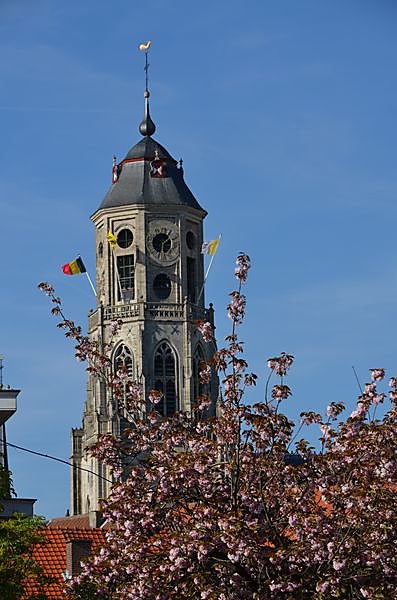 DSC-0369-resultat.JPG