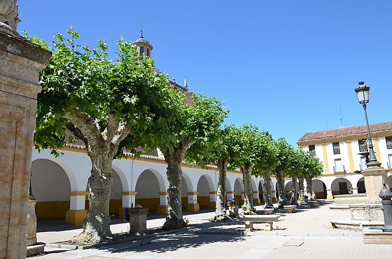 DSC-0335-resultat.JPG
